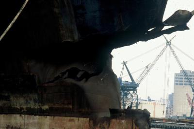 Bow of the S.S. Sea Witch