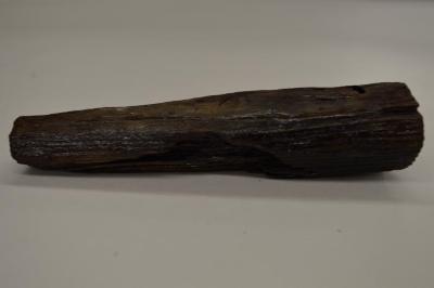 USS Ohio Treenail (aka: Trunnel) 