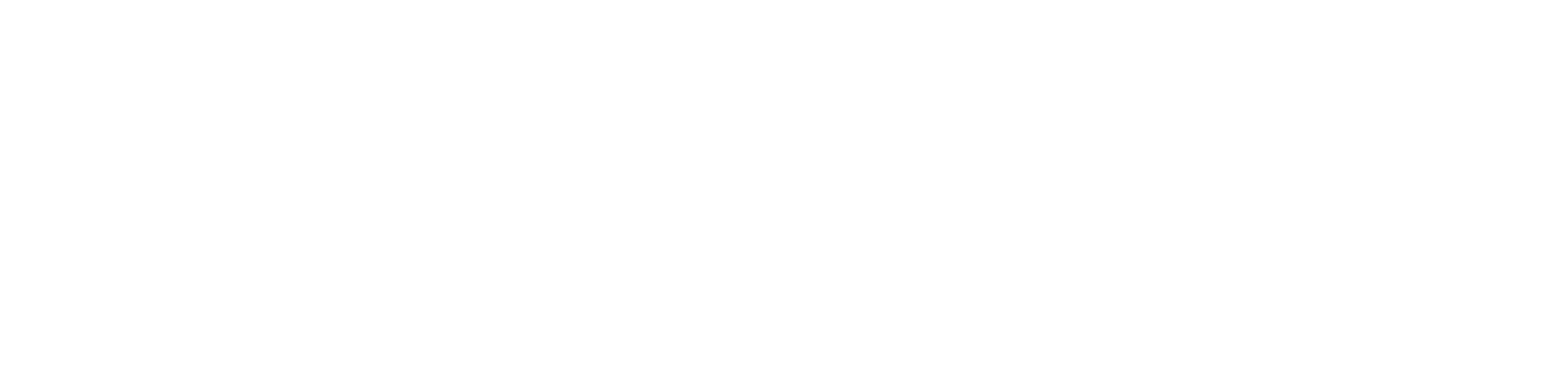 Brooklyn Navy Yard Logo